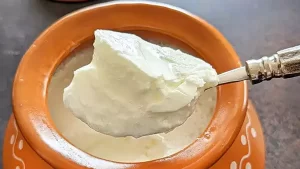 Benefits of curd for the body and gut health