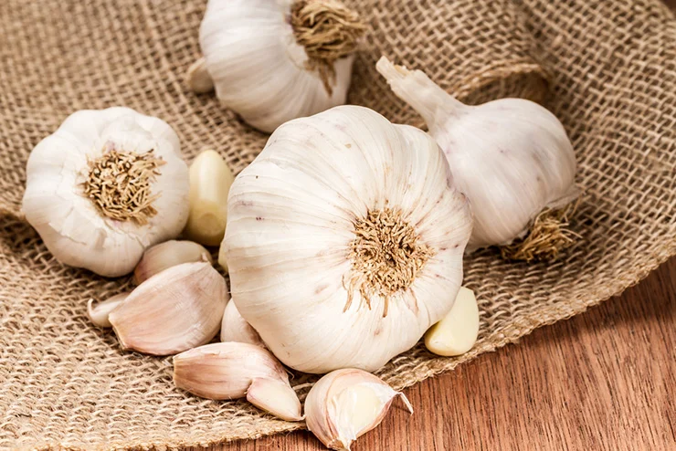 garlic health benefits