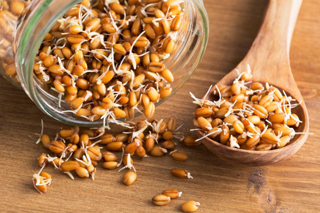 Wheat Germ - Vitamin E foods