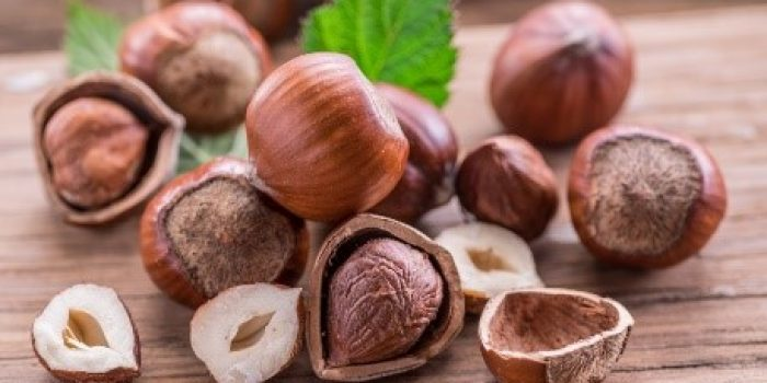 Hazelnuts - Best Vitamin E foods